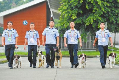 閱兵排爆安檢 四川警犬每天出勤超10小時